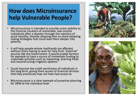How Does Microinsurance help Vulnerable People